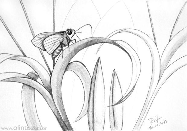 Desenhos dos percursos do Guia de Cicloturismo Circuitos do Sul - Paraná, Santa Catarina e Rio Grande do Sul