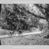 Guia de Cicloturismo Paraná I Guia de Cicloturismo Paraná I