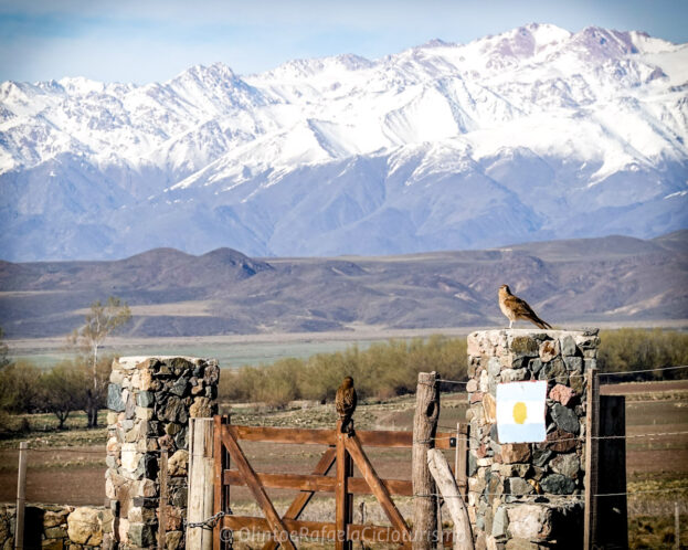 aventura-bicicleta-patagonia-andina-cicloturismo-mendoza-tupungato-28 Aventura de bicicleta na Patagonia Andina - Tupungato