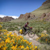 43-aventura-bicicleta-patagonia-andina-cicloturismo-malargue-las-loicas Passo Vergara