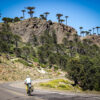02-aventura-bicicleta-patagonia-andina-cicloturismo-pino-hachado Passo Pino Hachado