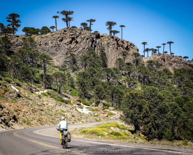 02-aventura-bicicleta-patagonia-andina-cicloturismo-pino-hachado Passo Pino Hachado